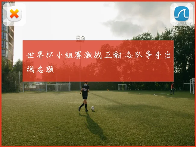 世界杯小组赛激战正酣 各队争夺出线名额