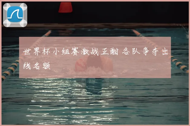 世界杯小组赛激战正酣 各队争夺出线名额