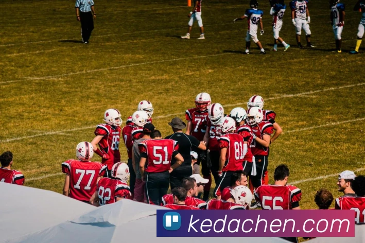 在线买世界杯平台平台生态图